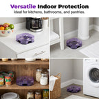 ☀️ Reusable cockroach traps bring peace of mind to your home 🏡