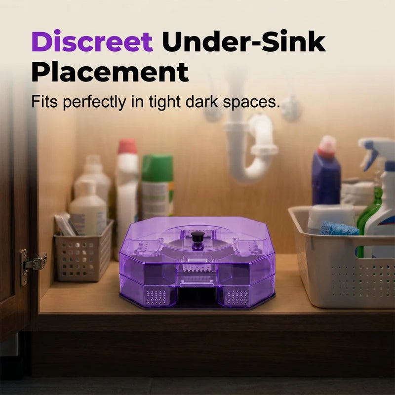☀️ Reusable cockroach traps bring peace of mind to your home 🏡