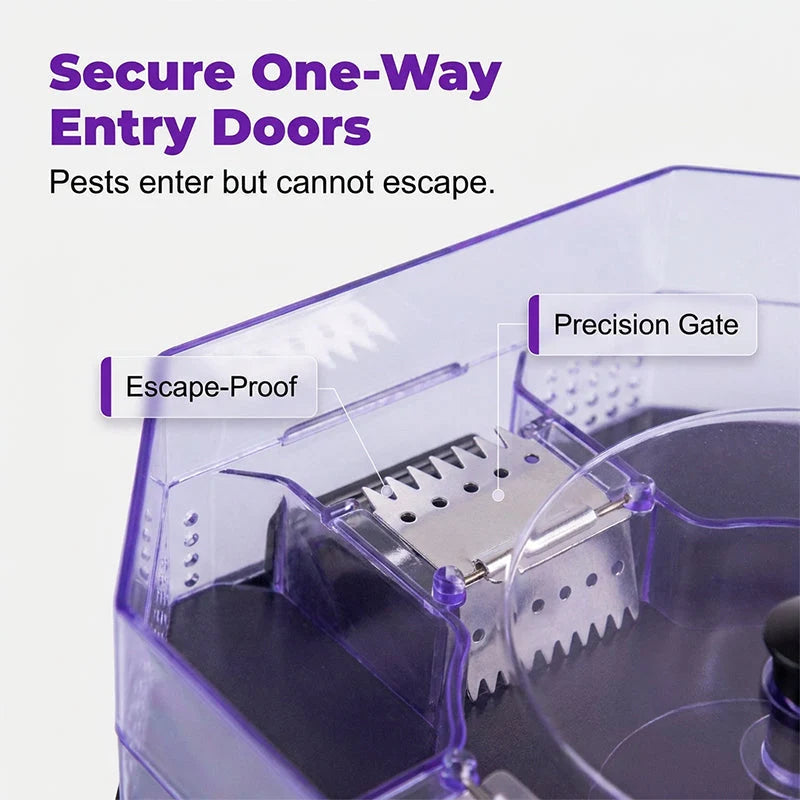☀️ Reusable cockroach traps bring peace of mind to your home 🏡